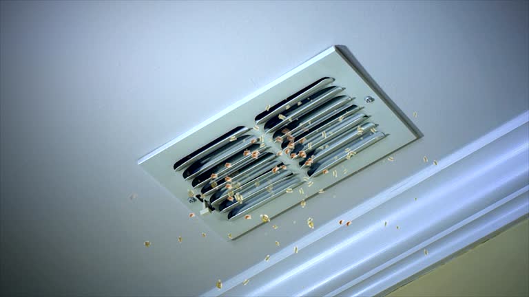 Best Ductwork Cleaning Services  in Artondale, WA